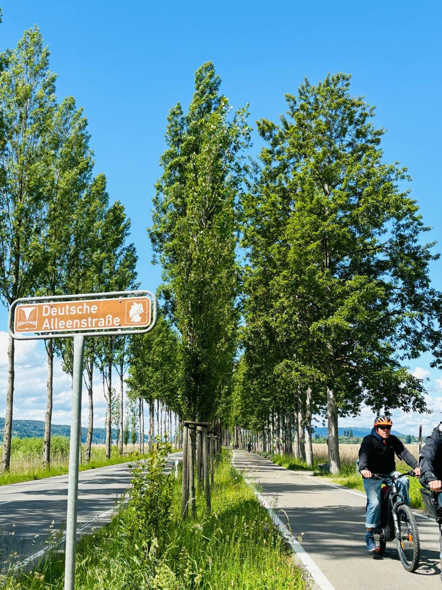 Lake View 110Sqm In/Outdoor Living Entire Apartment With 2 Bedrooms Reichenau Eksteriør billede